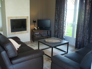 電視、壁爐、DVD 播放機、書籍