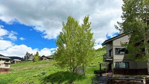 A residential area with houses on a hillside, a paved road, and a large tree in the foreground. - C&C Ski Factory-Ski in/Ski Out (Crested Butte)