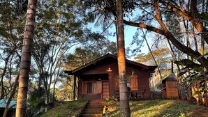 Une cabane en bois rustique, avec un escalier menant à l’entrée, entourée d’une végétation luxuriante et d’arbres.
