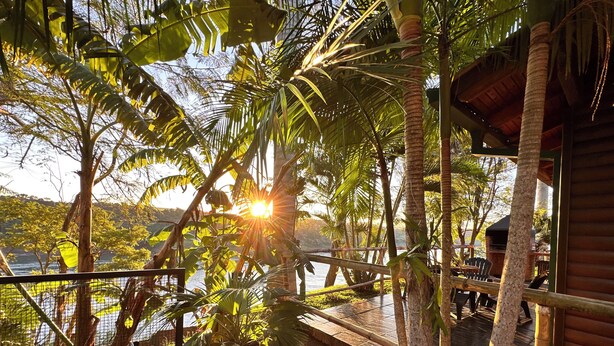 Une terrasse en bois offrant une vue sur l’eau, entourée de palmiers et d’une cabane en bois.