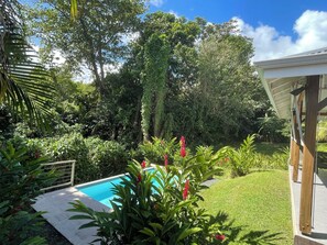 Outdoor pool - For you, Creole tradition & modernity at villa KOLE SERE!... (Petit-Bourg)