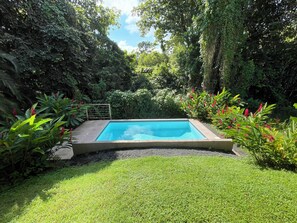A rectangular swimming pool surrounded by lush greenery and a well-maintained lawn.