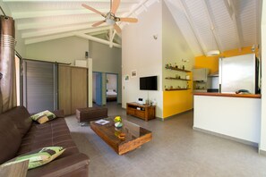 TV, DVD player, books, video library