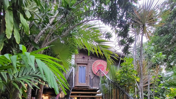 Un escalier en bois mène à un bâtiment en bois, lui-même entouré d’une végétation luxuriante.