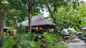Un restaurant doté d’une terrasse, entouré d’une végétation luxuriante et d’arbres.