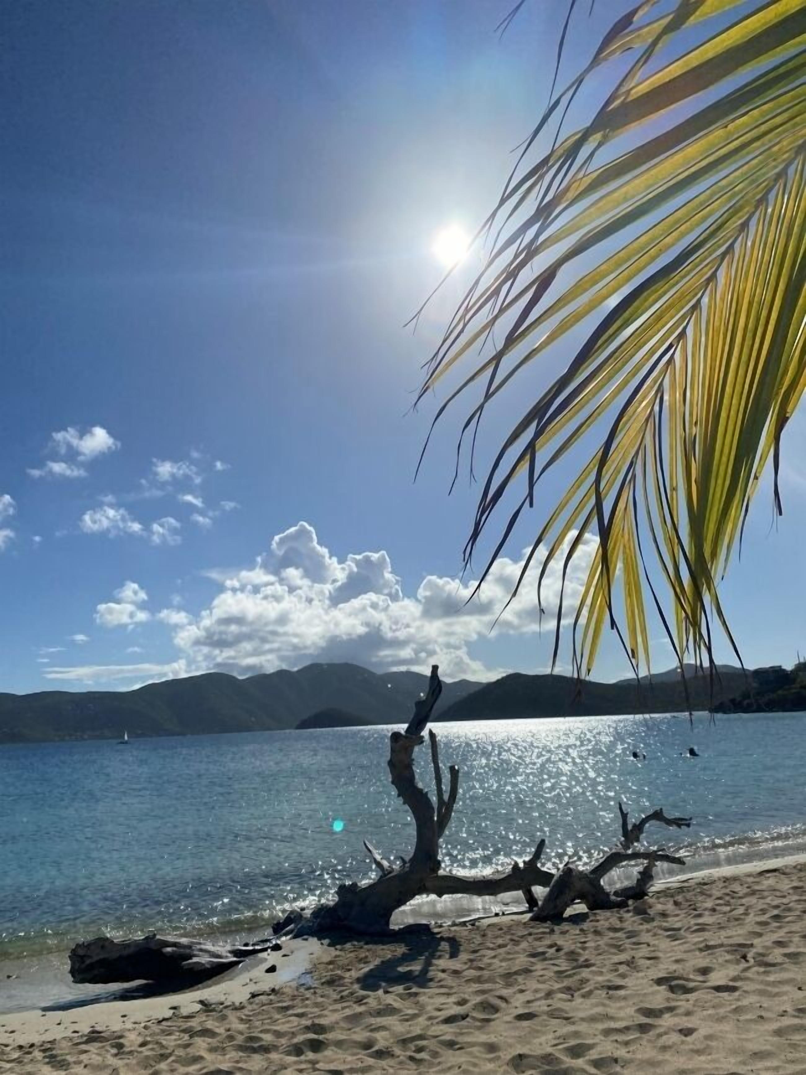 Tillett Gardens Guest House