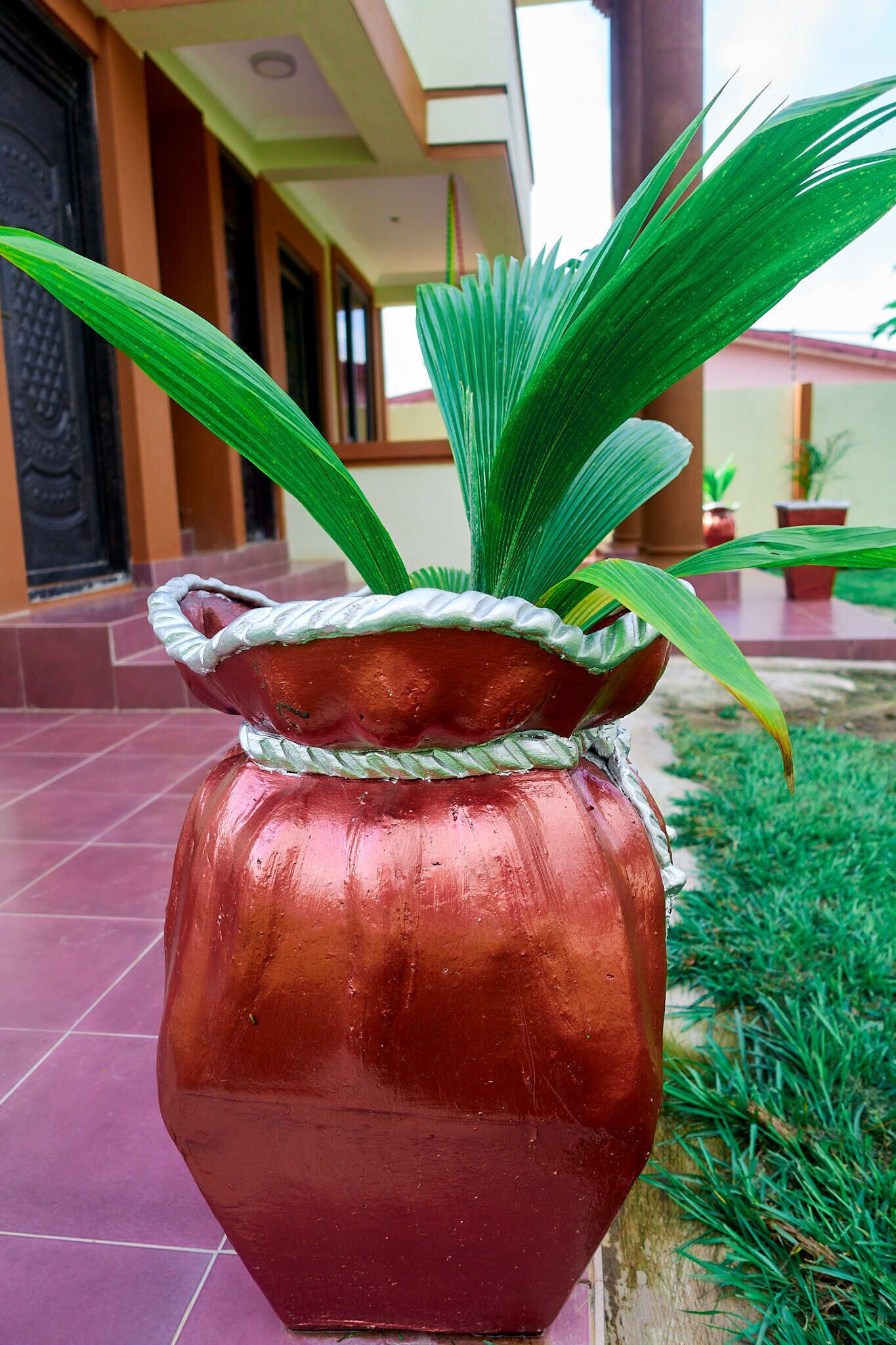 Una olla de cobre con una planta sobre un suelo de baldosas.