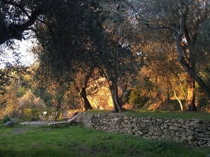 Property grounds - Romantic country house in the olive grove (1,060 sqm) - PARKING space on the property (Dolcedo)