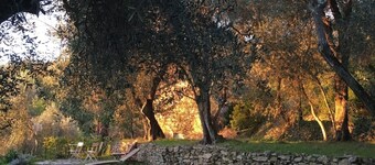 Romantic country house in the olive grove (1,060 sqm) - PARKING space on the property