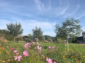 Property grounds - Exclusively and high-quality equipped ***** apartment with large garden (Freiamt)