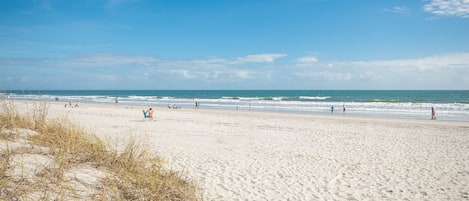 Vlak bij het strand