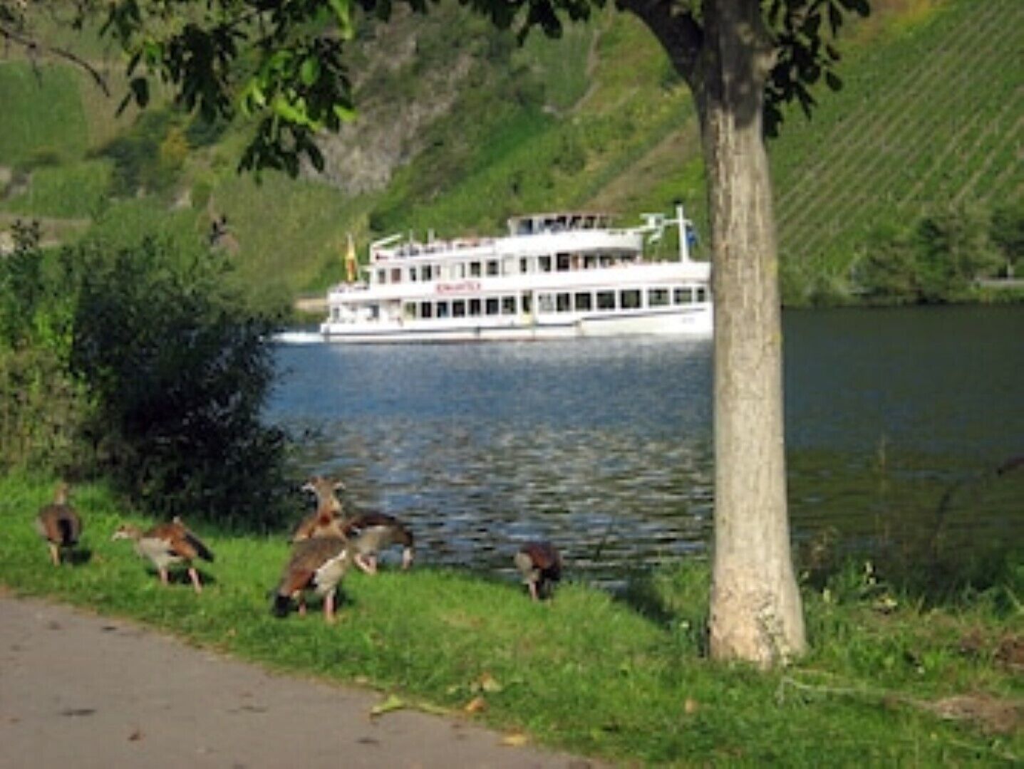 Ein Fluss mit einem Boot, das am Ufer festgemacht ist.