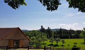 Set amidst a serene green field and forest, this charming building offers a peaceful retreat.
