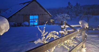 GĂźte, private heated indoor pool, whole house. Close to Alsace.