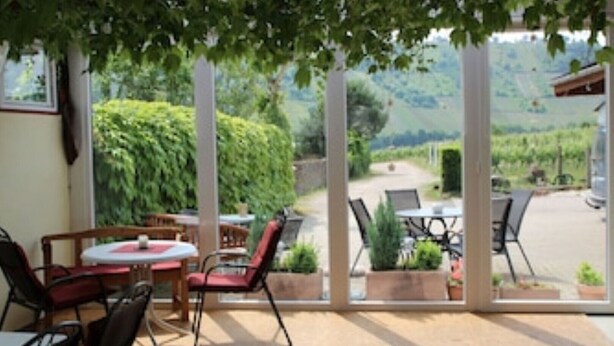 An outdoor patio with tables and chairs, overlooking a scenic landscape with hills and a vineyard. - Apartment "Moselblick", A great view of the greenery and enjoy the evening sun (Minheim)
