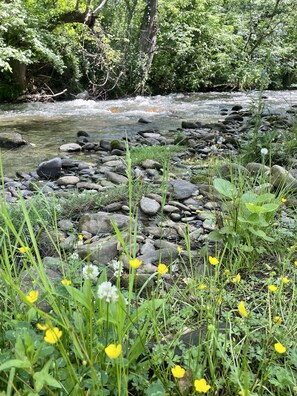 Terrain de l’hébergement
