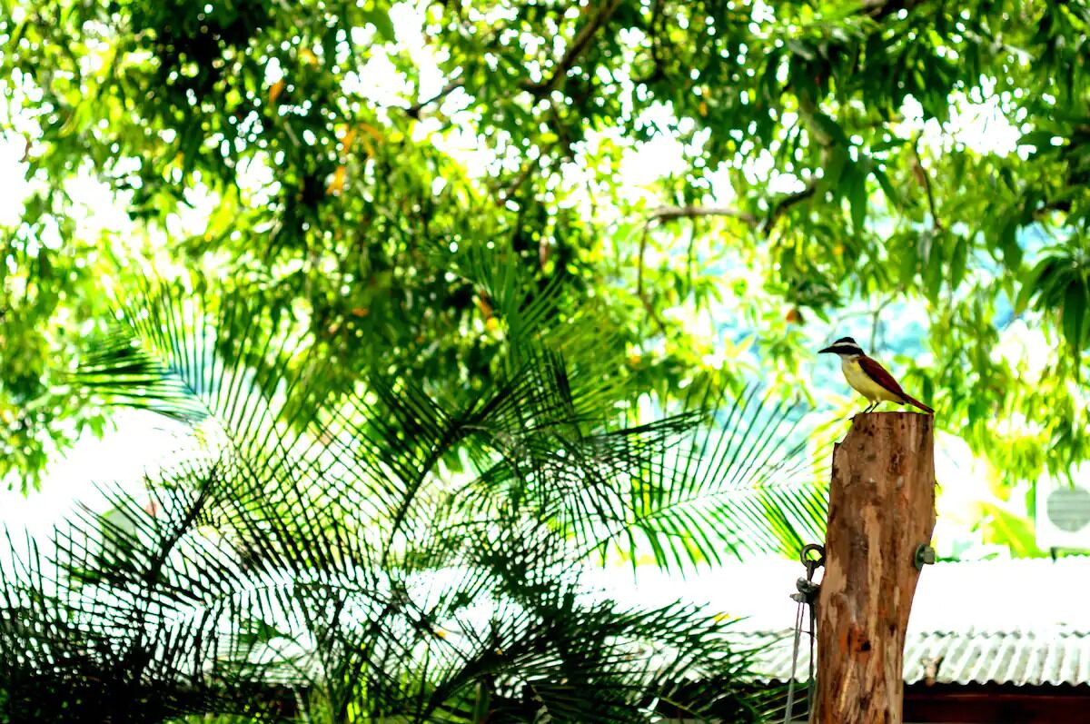 Photo - La Casona de Sara