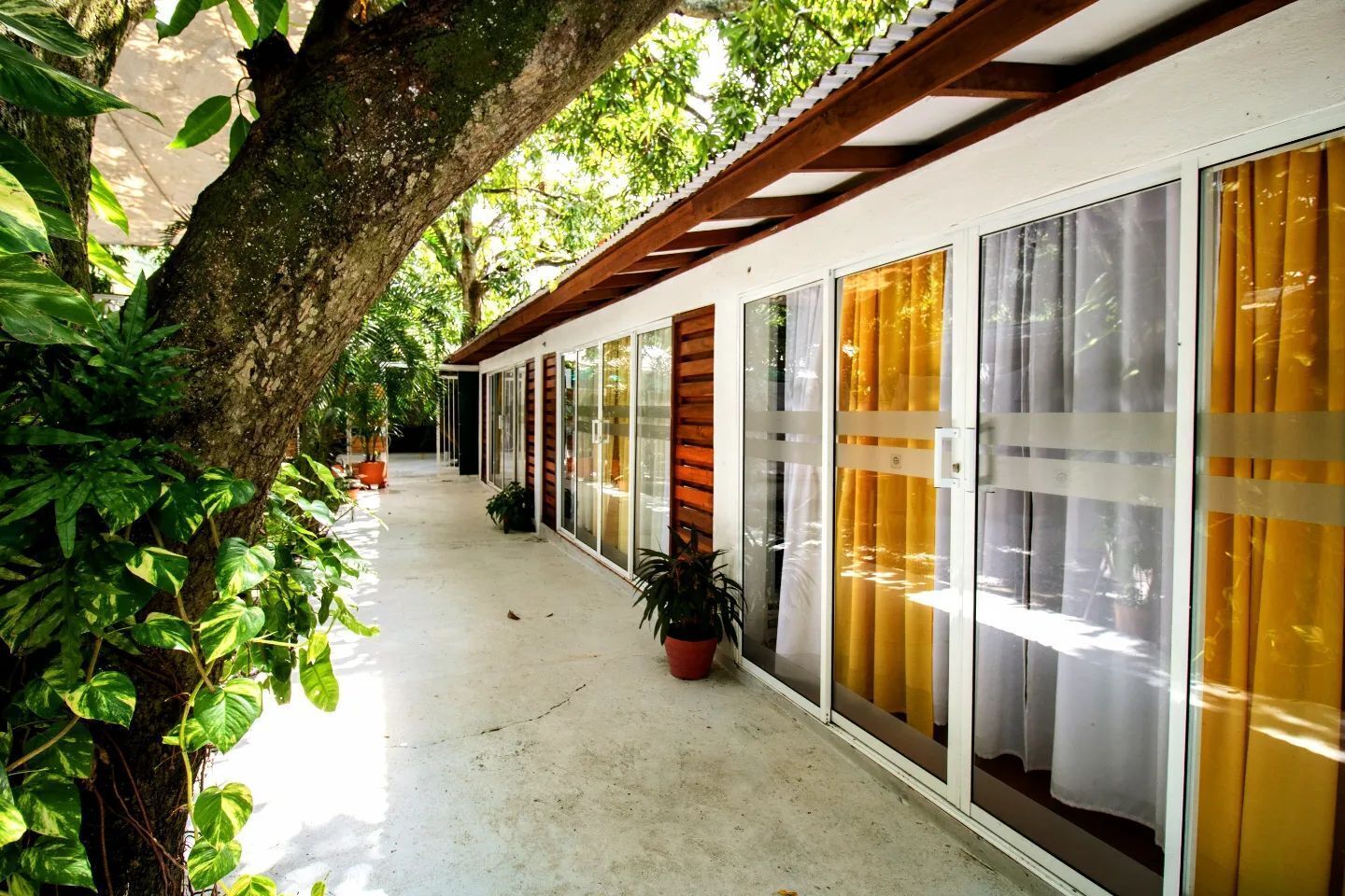 Photo - La Casona de Sara