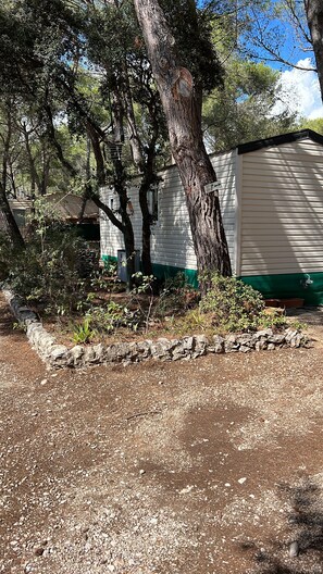 المنطقة المحيطة بالمنشأة