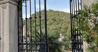 2bedroom apartment Living room, Terrace.