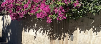 Lemon Tree Residence