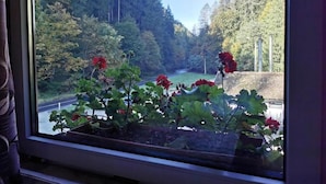 View from property - Pensiunea Valea Cetatii (Rasnov)
