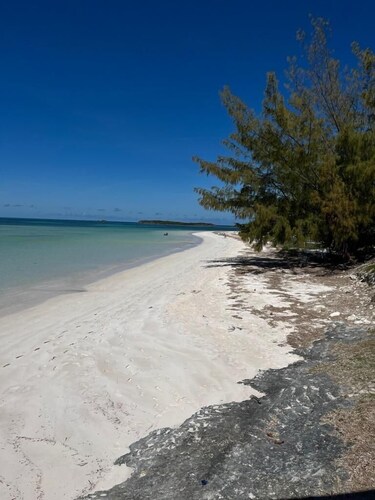 Newly renovated home with Kayaks + Pool 
