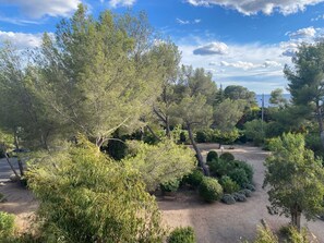 المنطقة المحيطة بالمنشأة