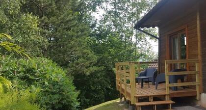 Chalet cosy tout en bois classé meublé de tourisme