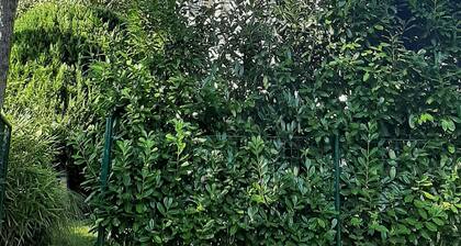 Apartment with veranda, children welcome, free parking, garden