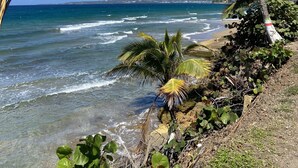 A beach with palm trees and ocean waves. - Mares Guesthouse (Aguada)