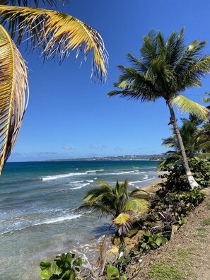 Vue sur la plage/l’océan