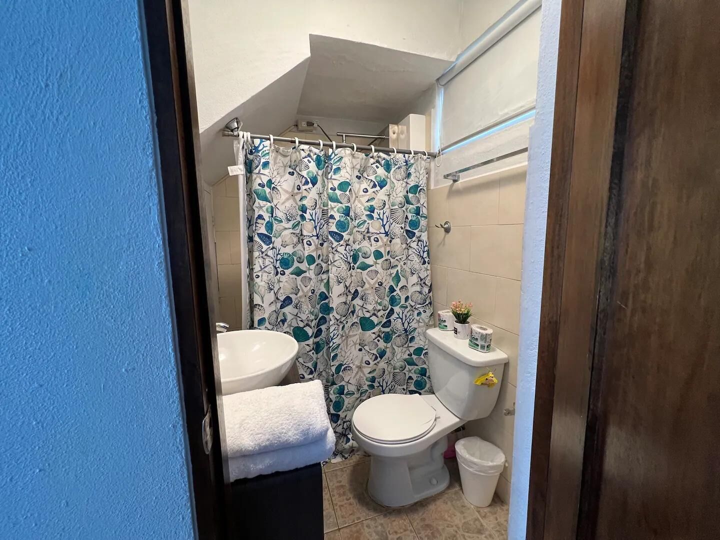 Baño pequeño con inodoro, lavamanos y cortina de ducha.