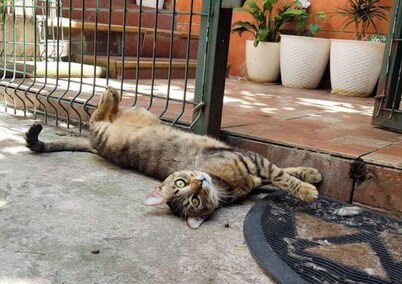 ☞ NICE & COZY☜ with Jacuzzi!! Blue Pearl Apartment