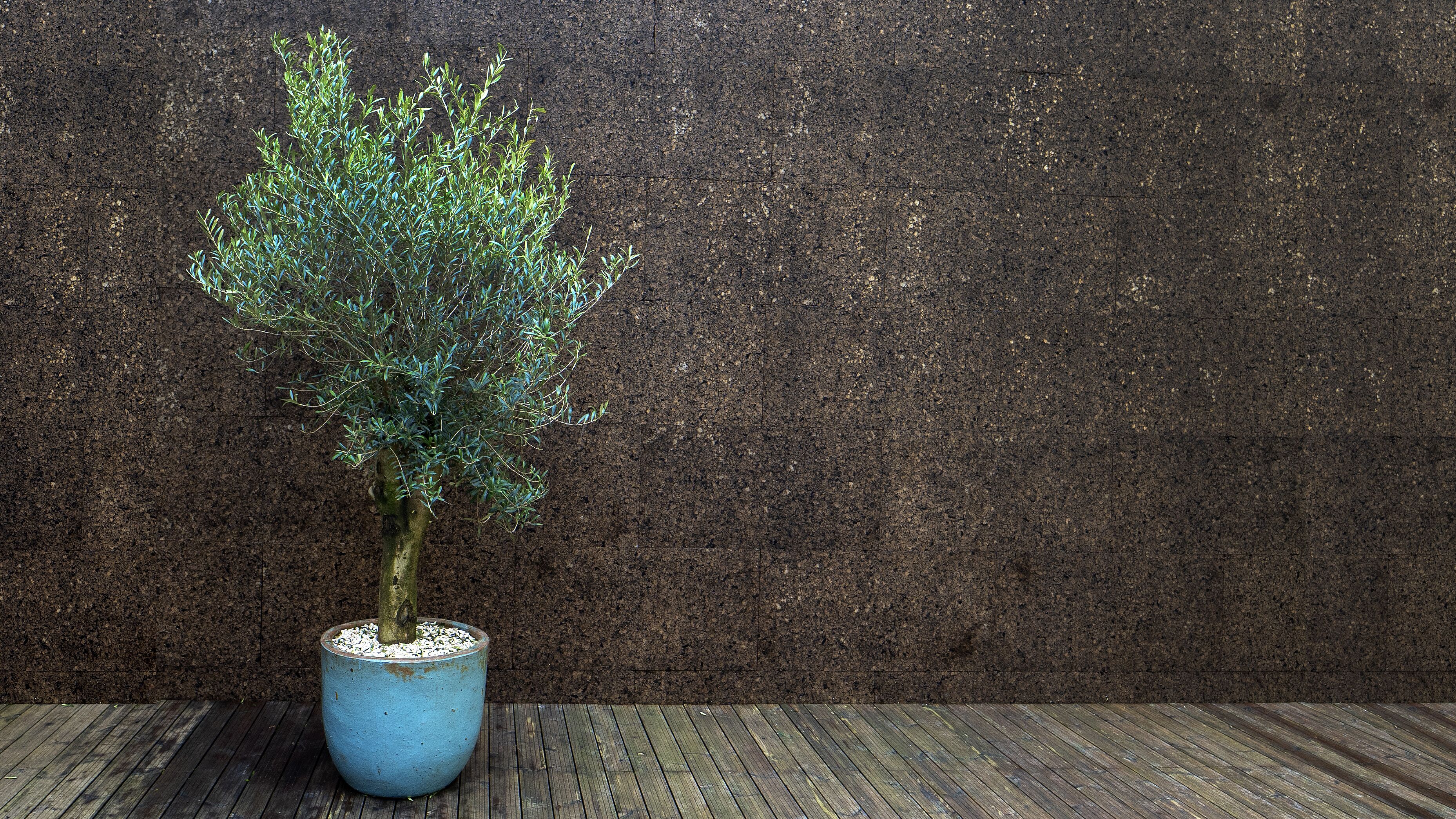 Photo - Ocean Porto - Beach House