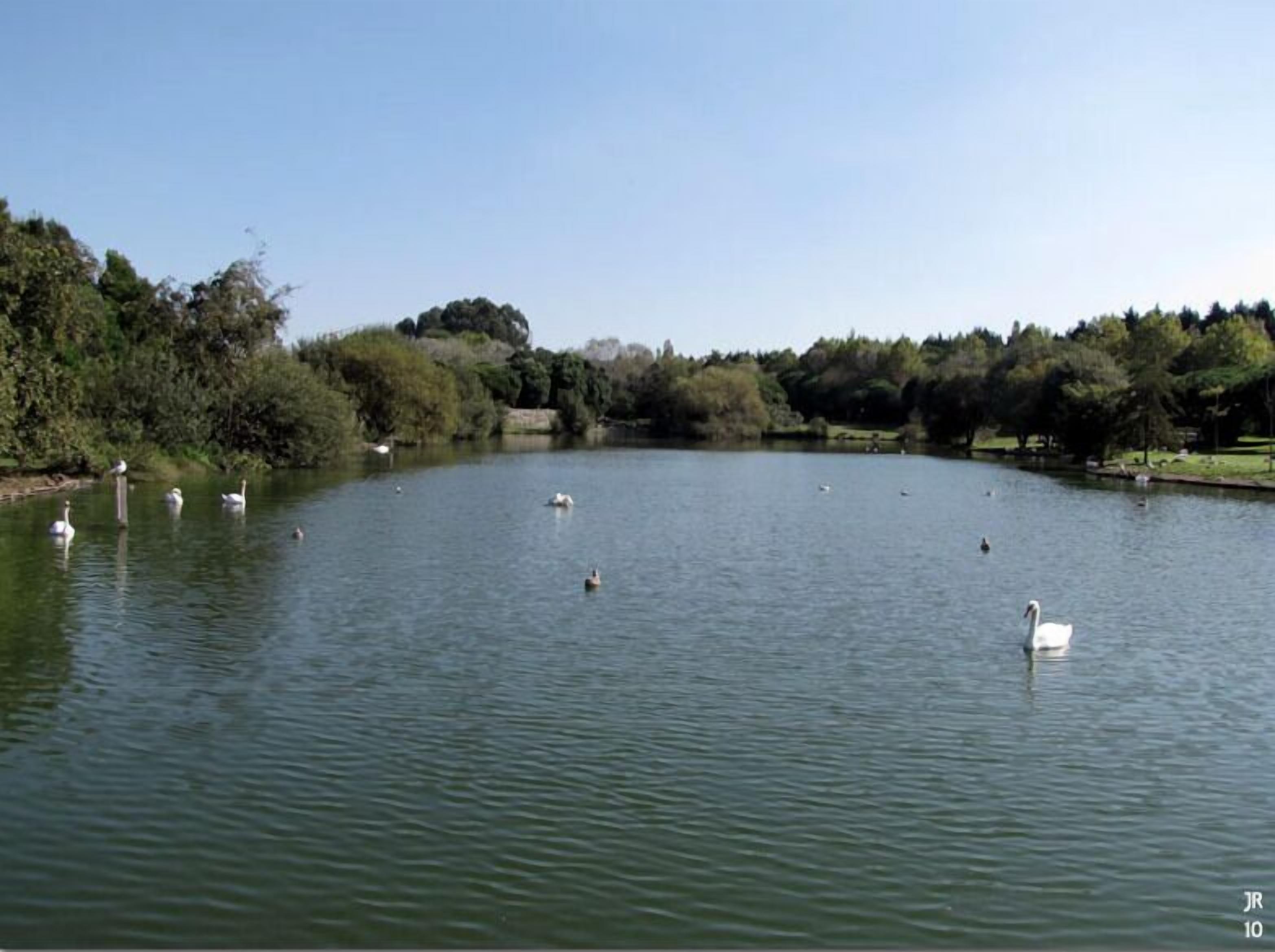 Photo - Ocean Porto - Beach House