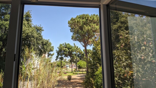 A view through a window of a garden with trees and a pathway. - GuestHouse Marialva Park (Seixal)