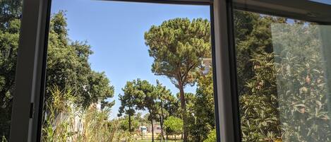 Executive Suite | View from room