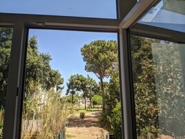 Executive Suite | View from room