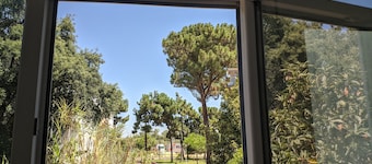 GuestHouse Marialva Park