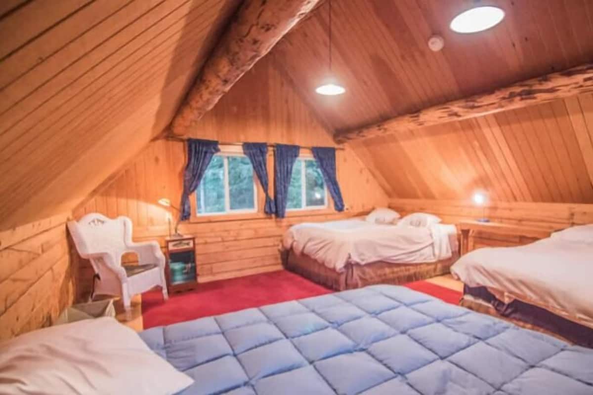 Un dormitorio acogedor en el ático con paredes de madera, dos camas, una alfombra roja y una ventana con cortinas.