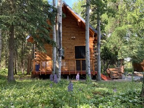 Peacefull Cabin #6 on the Kenai River