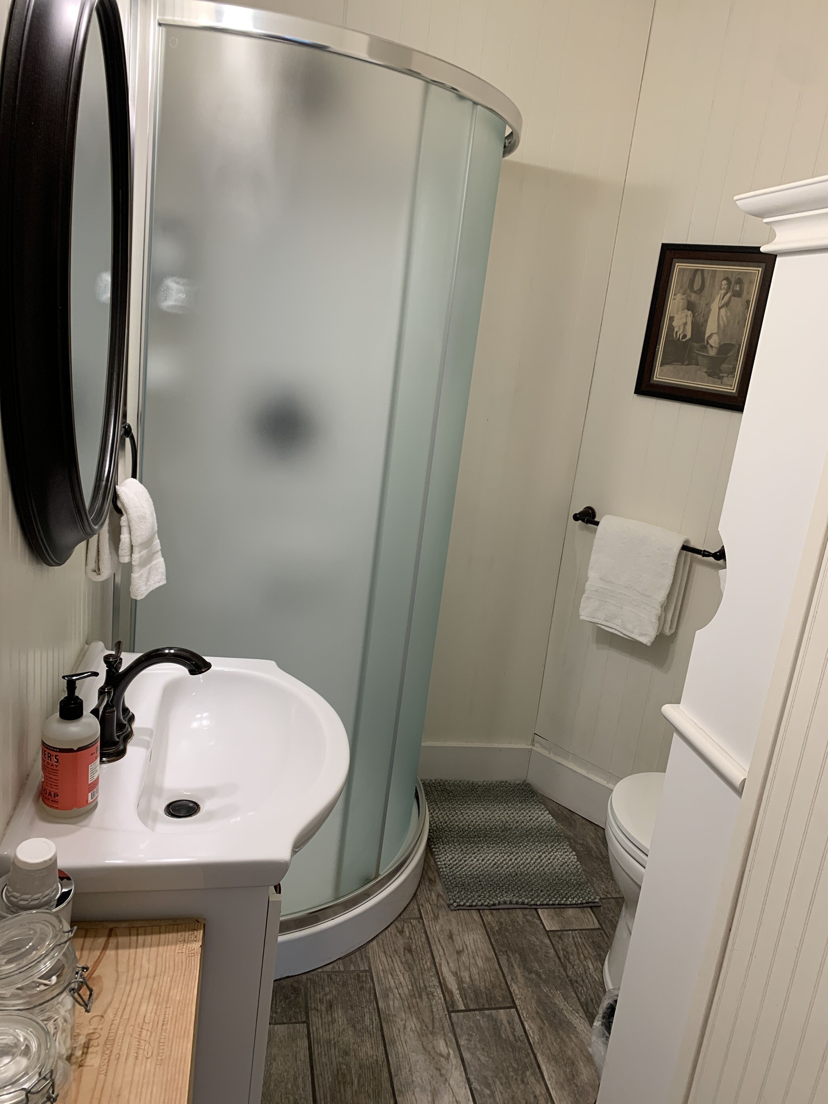 Hair dryer, towels, soap, shampoo