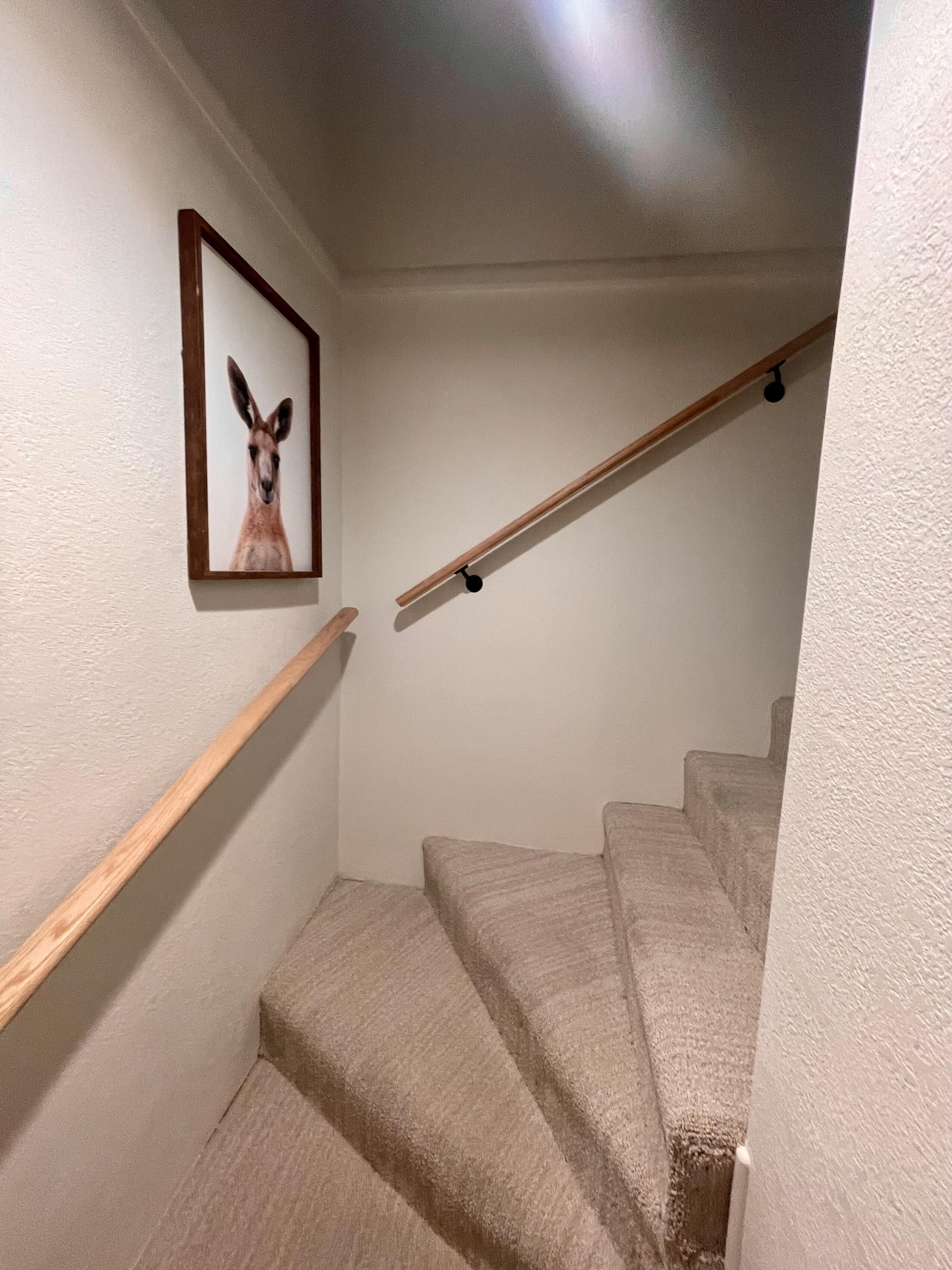 Eine Treppe mit beigefarbenen Teppichstufen und einem hölzernen Geländer.