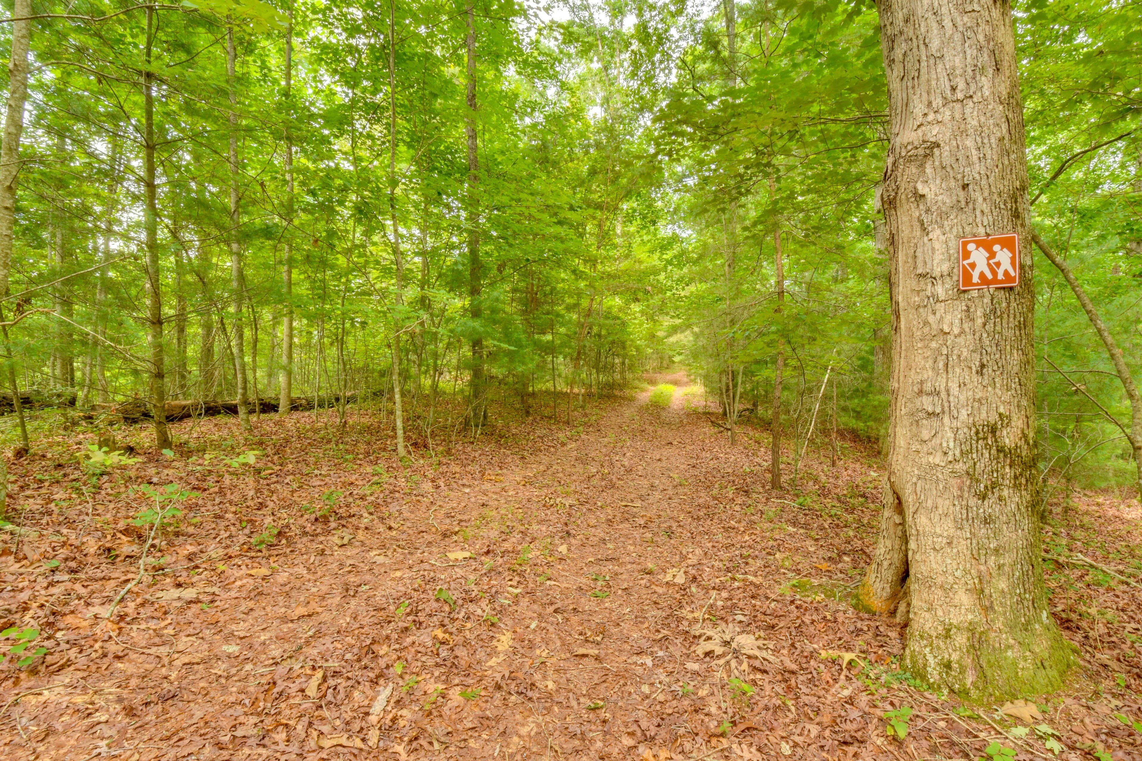 A forest trail with a sign indicating a hiking path.