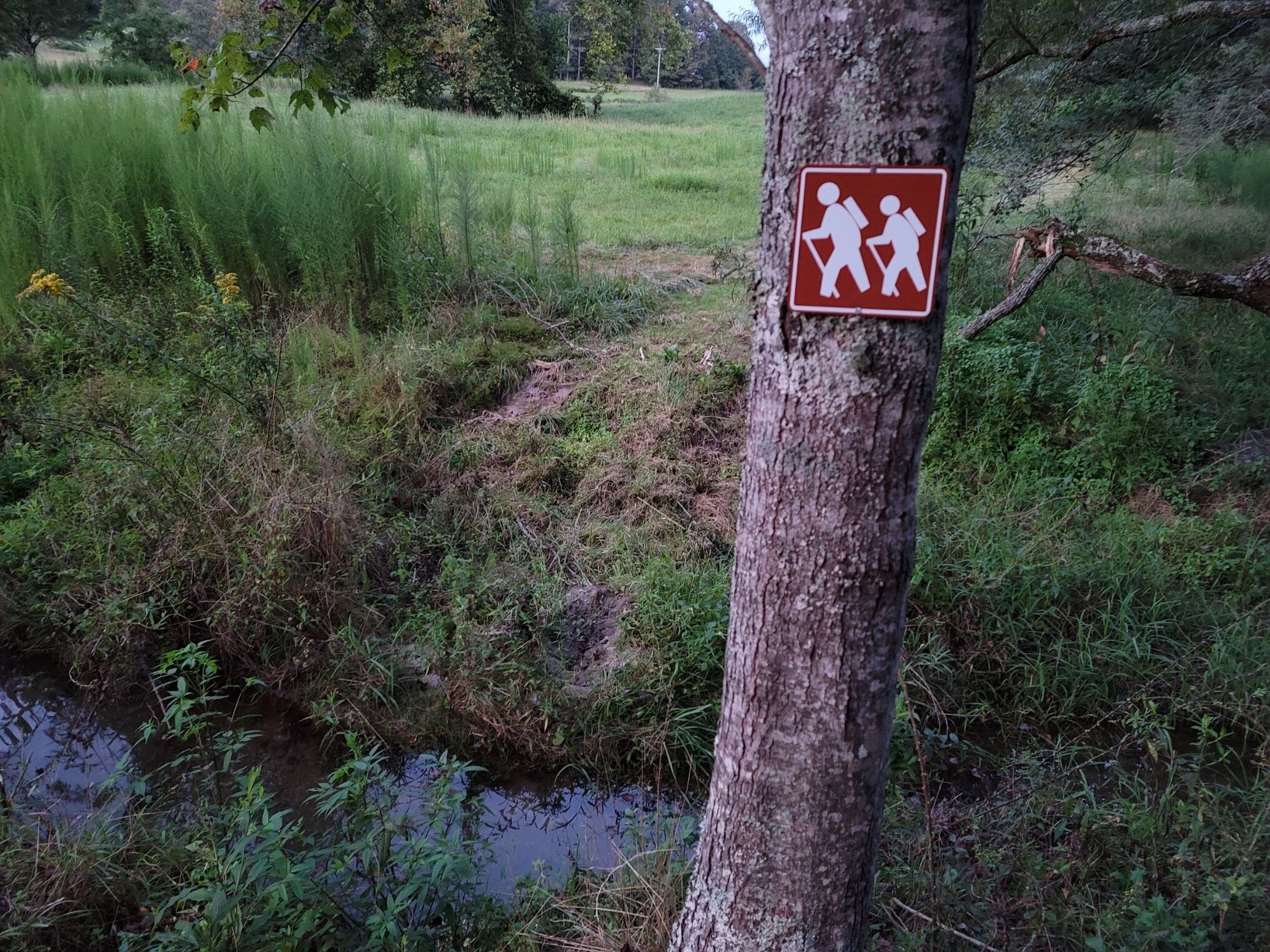 A hiking trail sign on a tree in a natural setting.