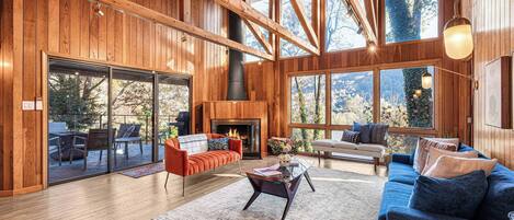 Kamin, DVD-Player, Stereoanlage