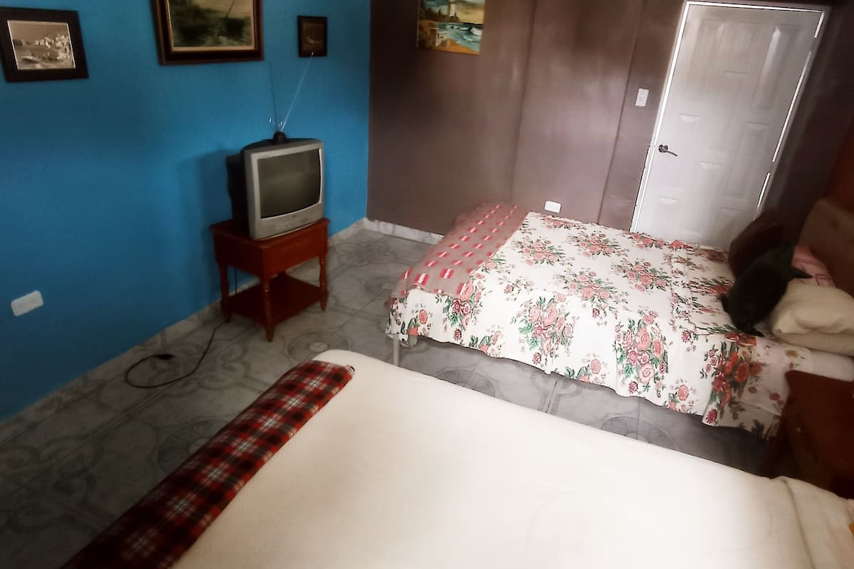 A bedroom with a bed, a television, and a wardrobe.