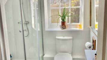 Shower, towels, toilet paper