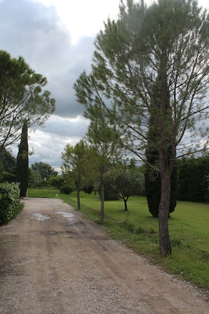 Overnatningsstedets område